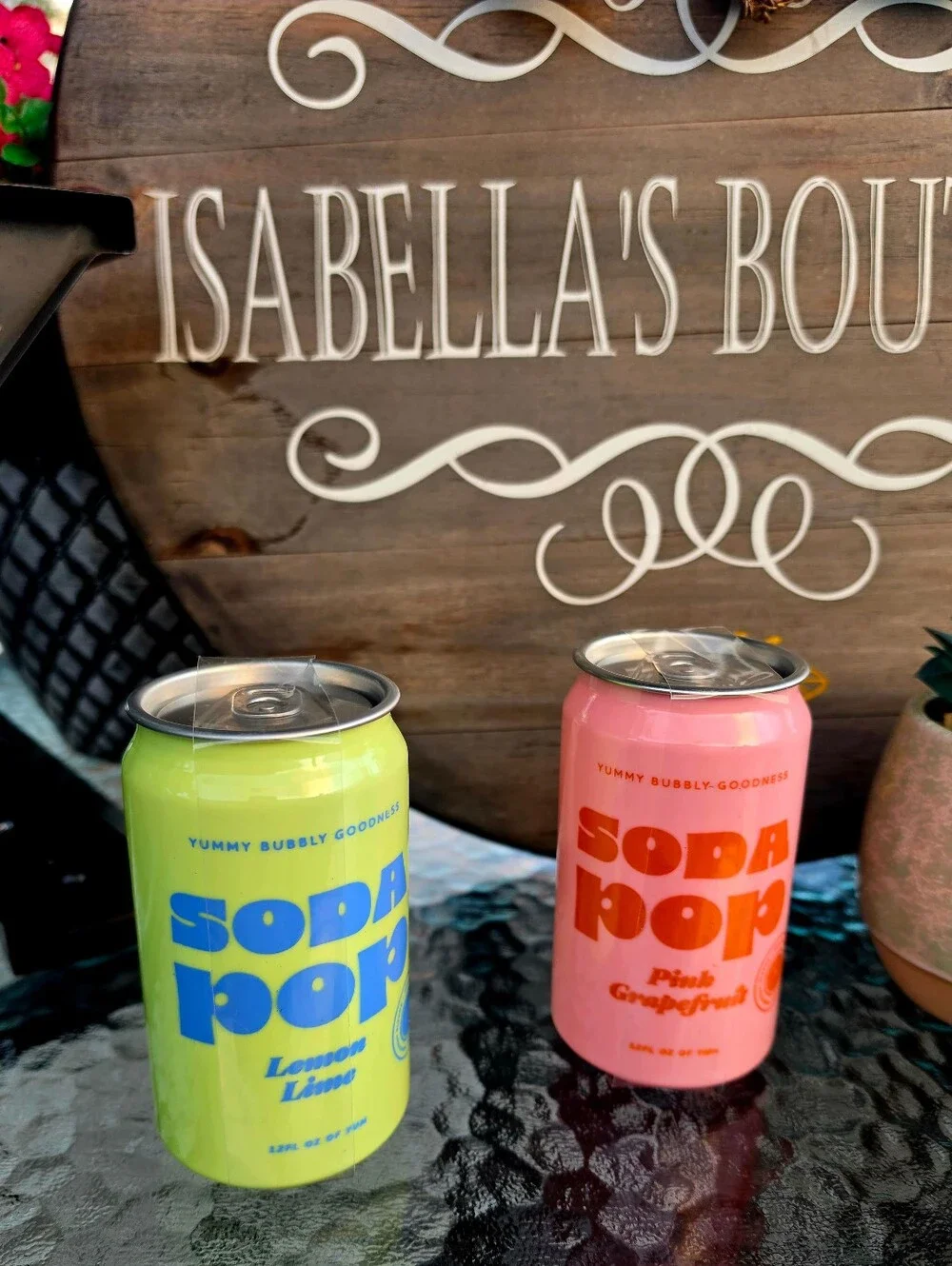 2 Secret Compartment Soda Pop  Cans